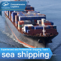 freight forwarding door to door international  sea shipping logistic company